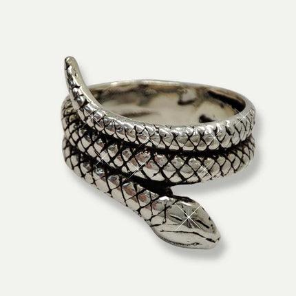 Anillos. Anillo de plata. Anillos de plata. Anillos para mujer. Anillos mujer. Anillos 2024. Anillos para hombre. Anillos hombre. Anillos aniversario. Bizarro. Anillo pandora. Anillos Tiffany. Regalos para hombre. Anillos hombre plata. Anillo joyería. Regalos para amigo, regalo para novio. Plata esterlina. Plata ley 925. Plata pura. Plata 925. Anillo de plata de serpiente craquelado.