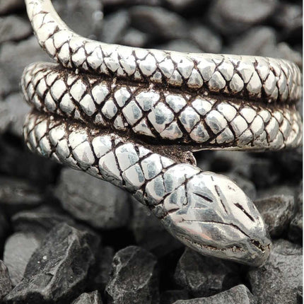 Anillos. Anillo de plata. Anillos de plata. Anillos para mujer. Anillos mujer. Anillos 2024. Anillos para hombre. Anillos hombre. Anillos aniversario. Bizarro. Anillo pandora. Anillos Tiffany. Regalos para hombre. Anillos hombre plata. Anillo joyería. Regalos para amigo, regalo para novio. Plata esterlina. Plata ley 925. Plata pura. Plata 925. Anillo de plata de serpiente craquelado.
